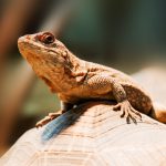 Découvrir les Maldives en famille : une aventure inoubliable sous le soleil