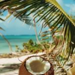 Voyage en Martinique depuis la Belgique : l’île aux fleurs et ses trésors naturels